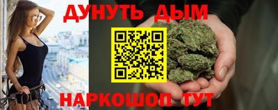 мдпв Кингисепп