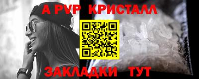 мдпв Кингисепп