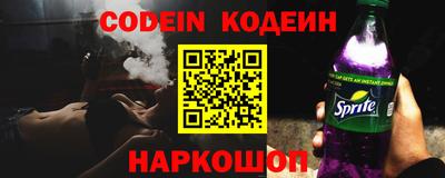 мдпв Кингисепп