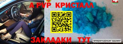 мдпв Кингисепп