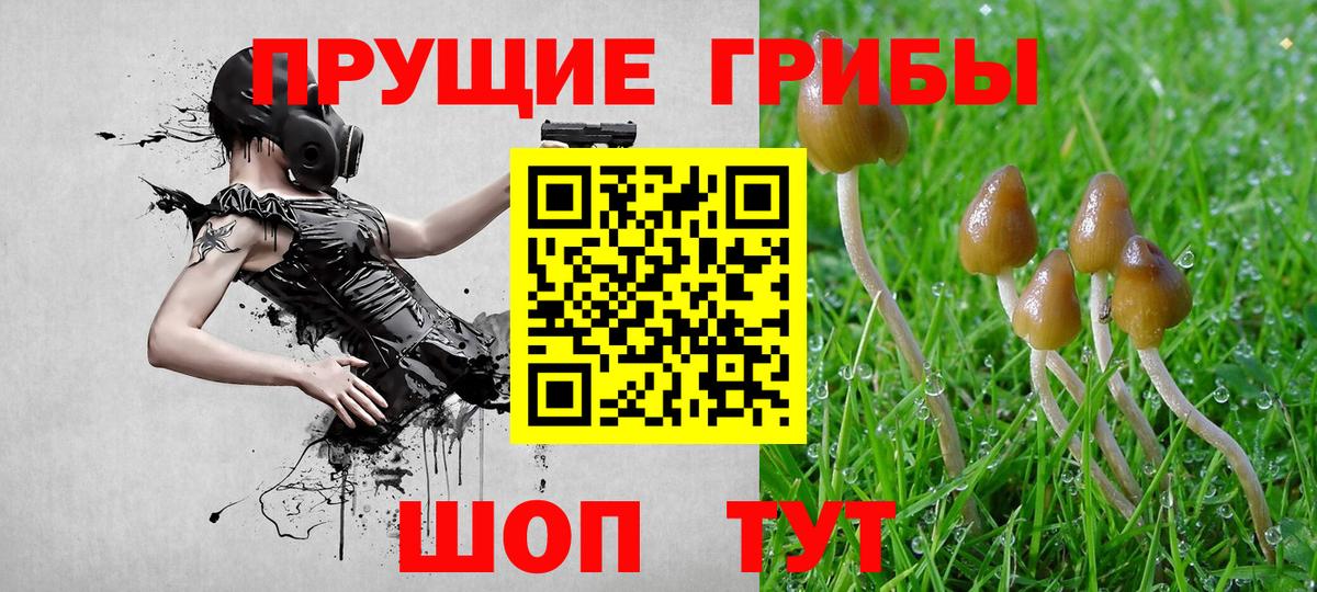 Галлюциногенные грибы Cubensis Киров